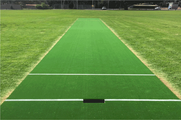 TURF WICKET